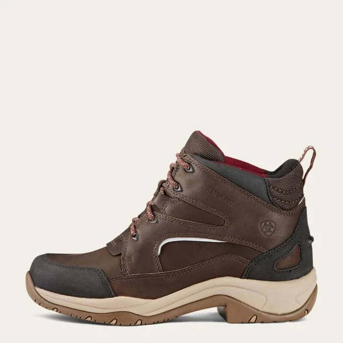 English Riding Boots Women Ariat Telluride II H2O Darkbrown English Riding Boots Women Ariat Telluride II H2O Darkbrown