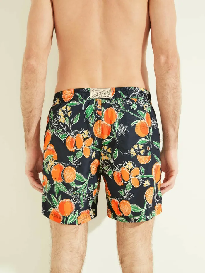 GUESS Pants and Shorts Men Fruit Woven Swim Trunks Orange Trees GUESS Pants and Shorts Men Fruit Woven Swim Trunks Orange Trees