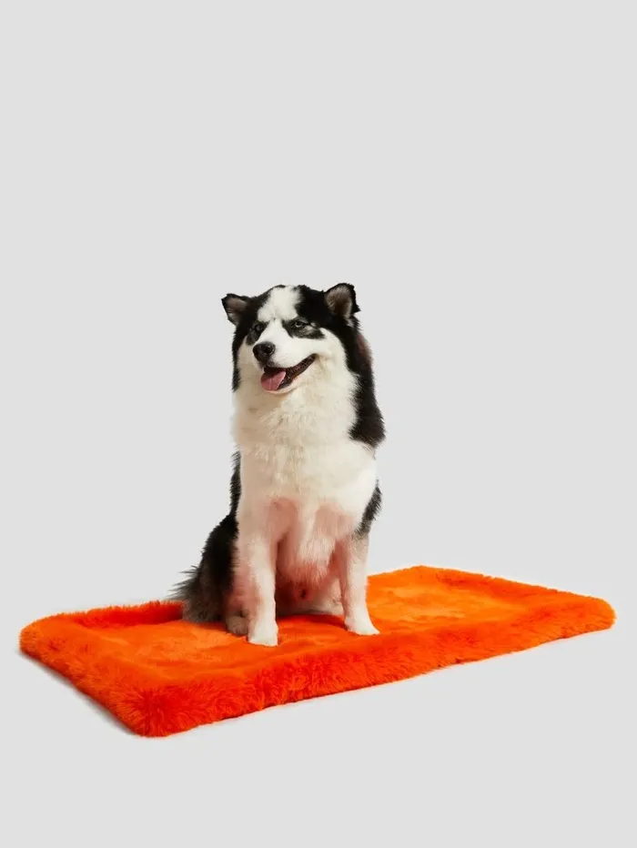 Home FauxFur Pet Carpet Orange 8211 GUESS Women