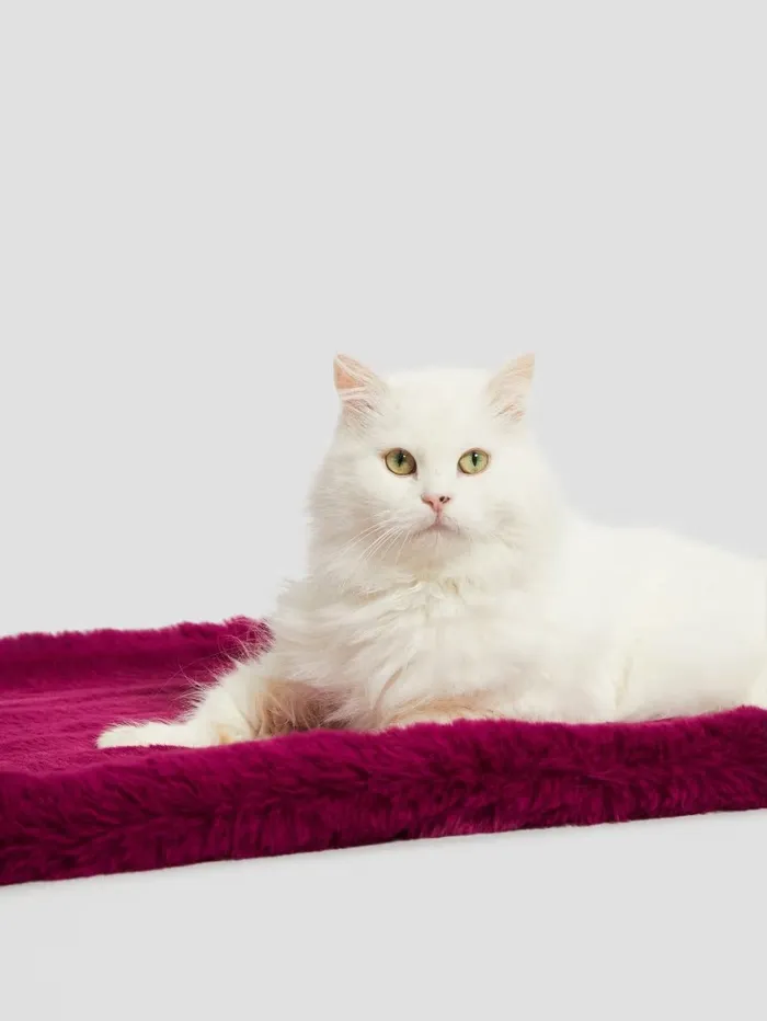 Home FauxFur Pet Carpet Pink Fucsia 8211 GUESS Women
