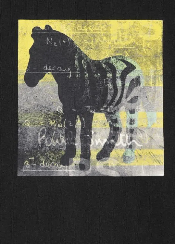 Paul Smith TShirts 039Zebra Square039 Print Cotton TShirt Black 8211 Mens