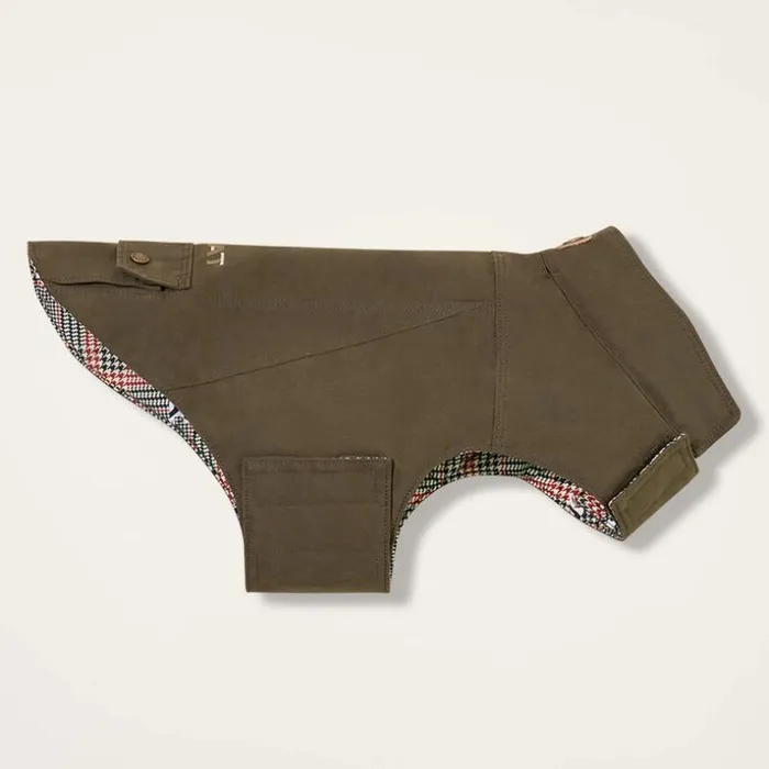 Pet Accessories MenWomen Ariat Argentium Dog Jacket Earth