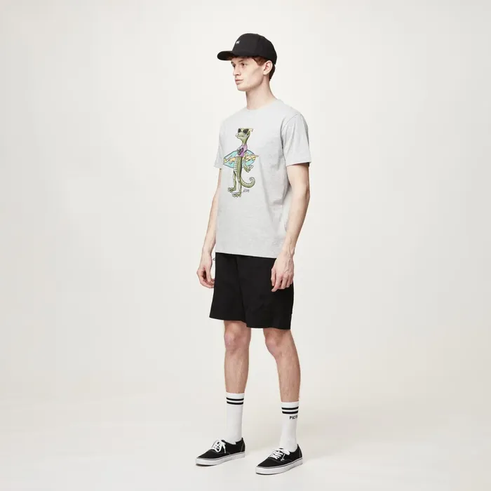 Picture Organic Clothing Jecko Tee Men TShirts Picture Organic Clothing Jecko Tee Men TShirts