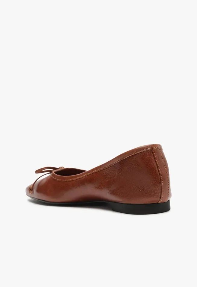 Schutz Shoes Ballerinas Arissa Flat Brown 8211 Women