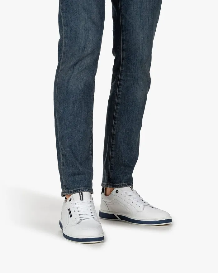 Sneakers Men Floris Van Bommel Terri 0702 Calfleather