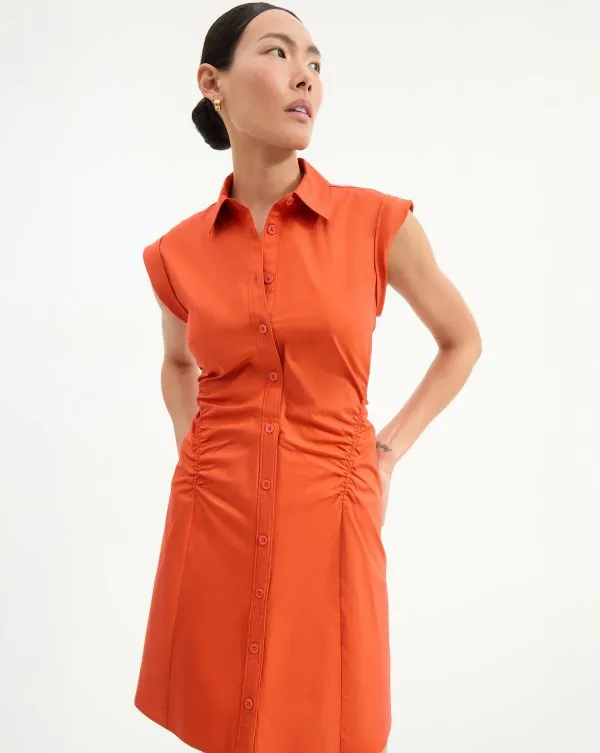 Talulah Dress Persimmon Women Veronica Beard Dresses