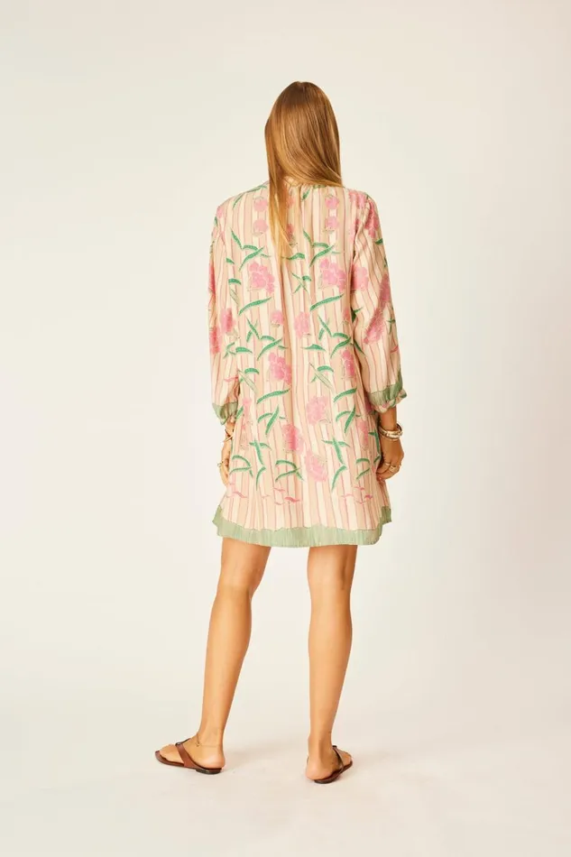 Women Natalie Martin Dresses Sammie Short Dress Chamomile Apricot
