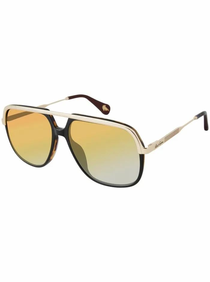 Women Robert Graham Accessories Romeo Aviator Sunglasses Black